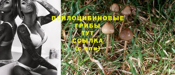 COCAINE Алексеевка